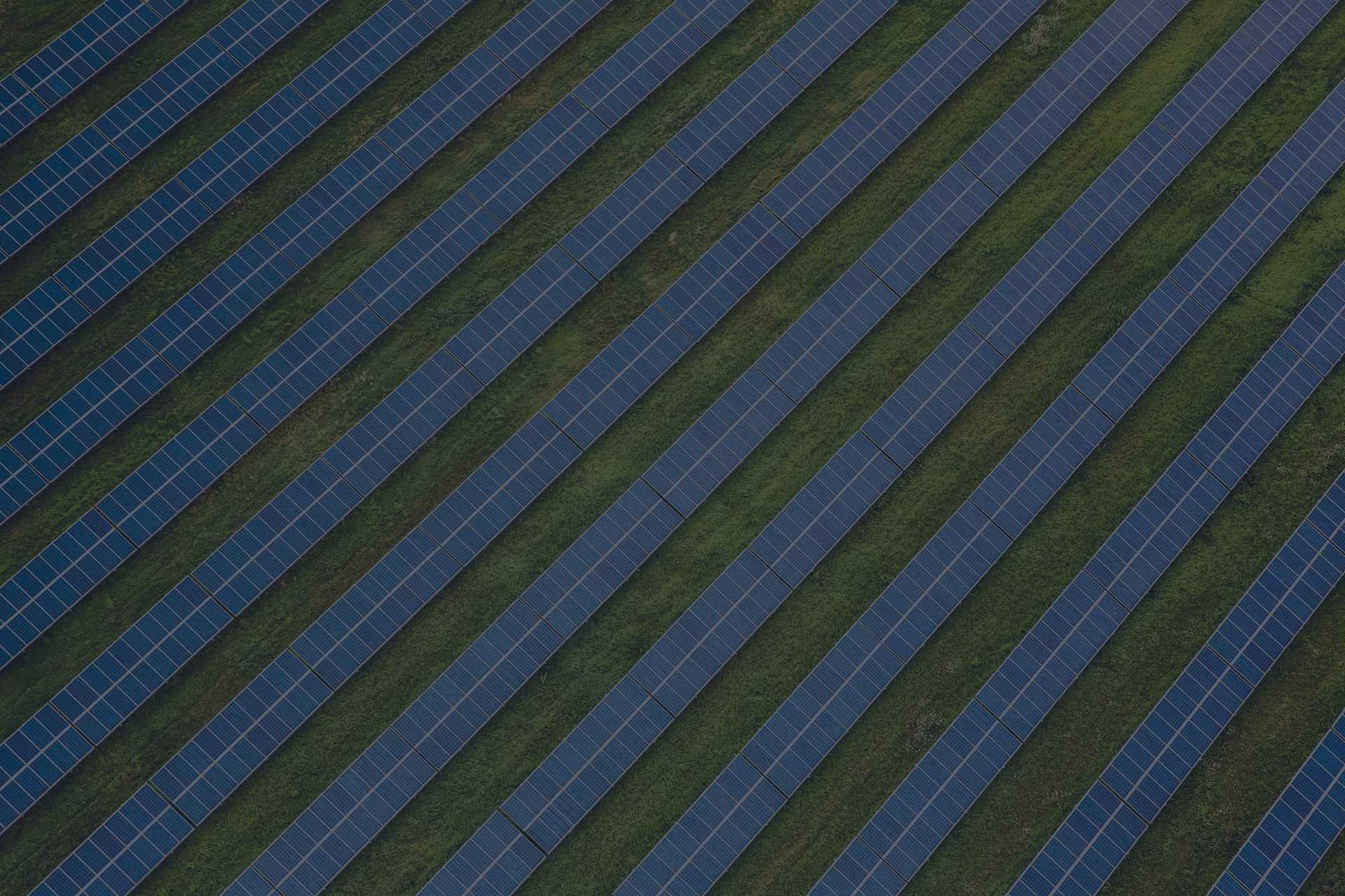 A grass field with solar panels