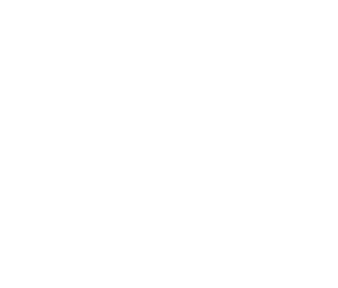 United Nations logo